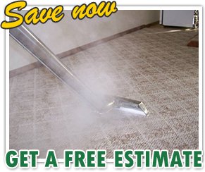 Green Carpet Cleaners in The Woodlands Texas